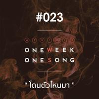 เพลงที่ 23 (โดนตัวไหนมา)