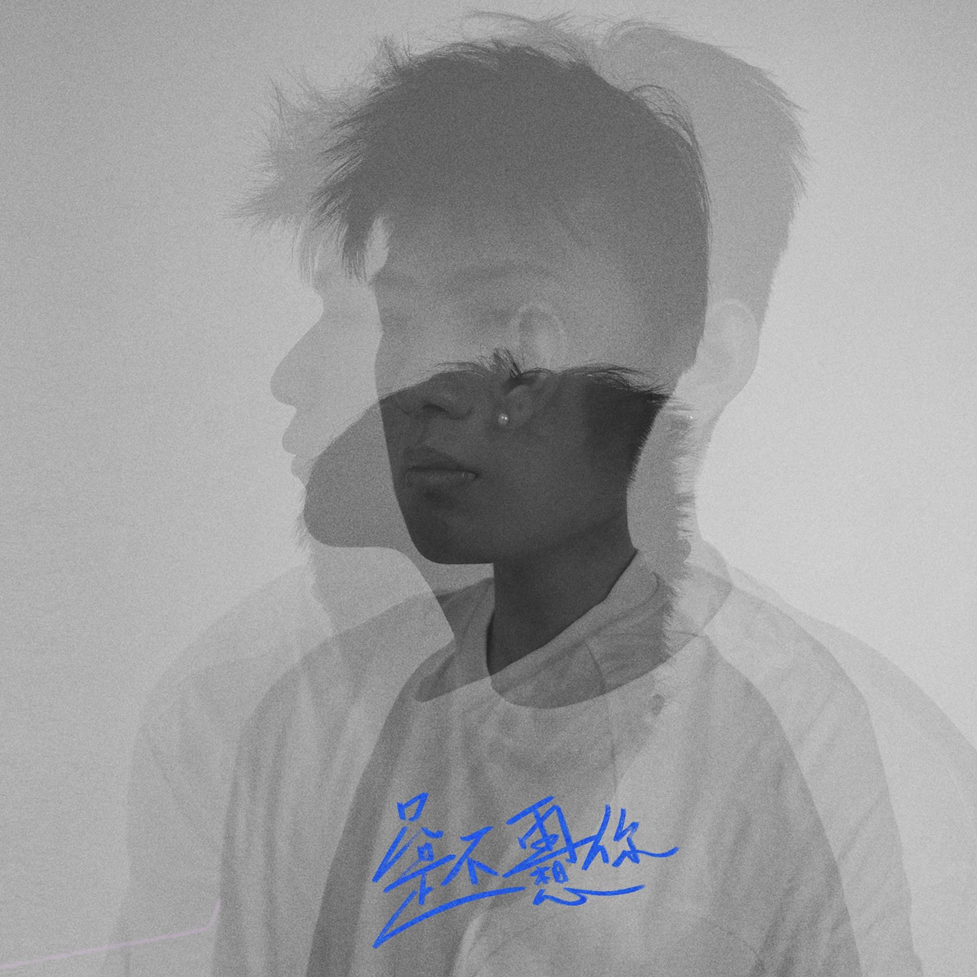 只是不想再想你