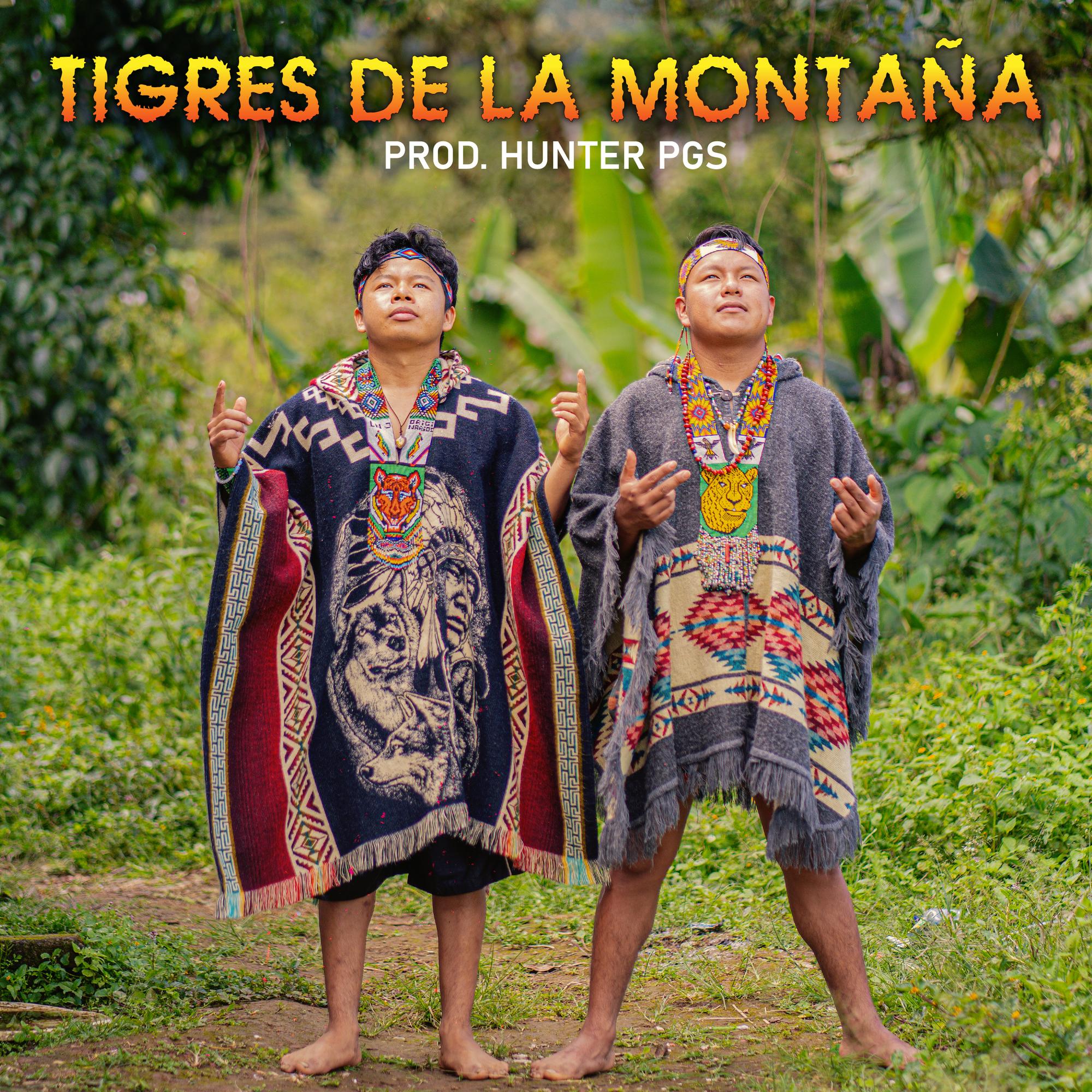 Tigres de la Montaña