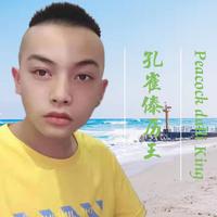 孔雀傣历王
