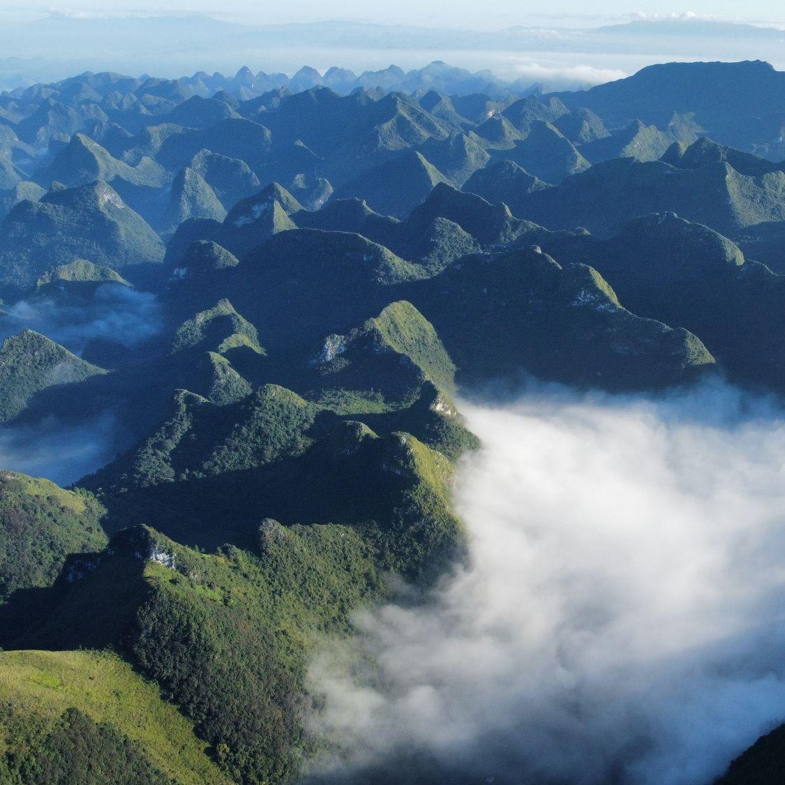 雾中之路：勇气