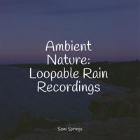 Ambient Nature: Loopable Rain Recordings