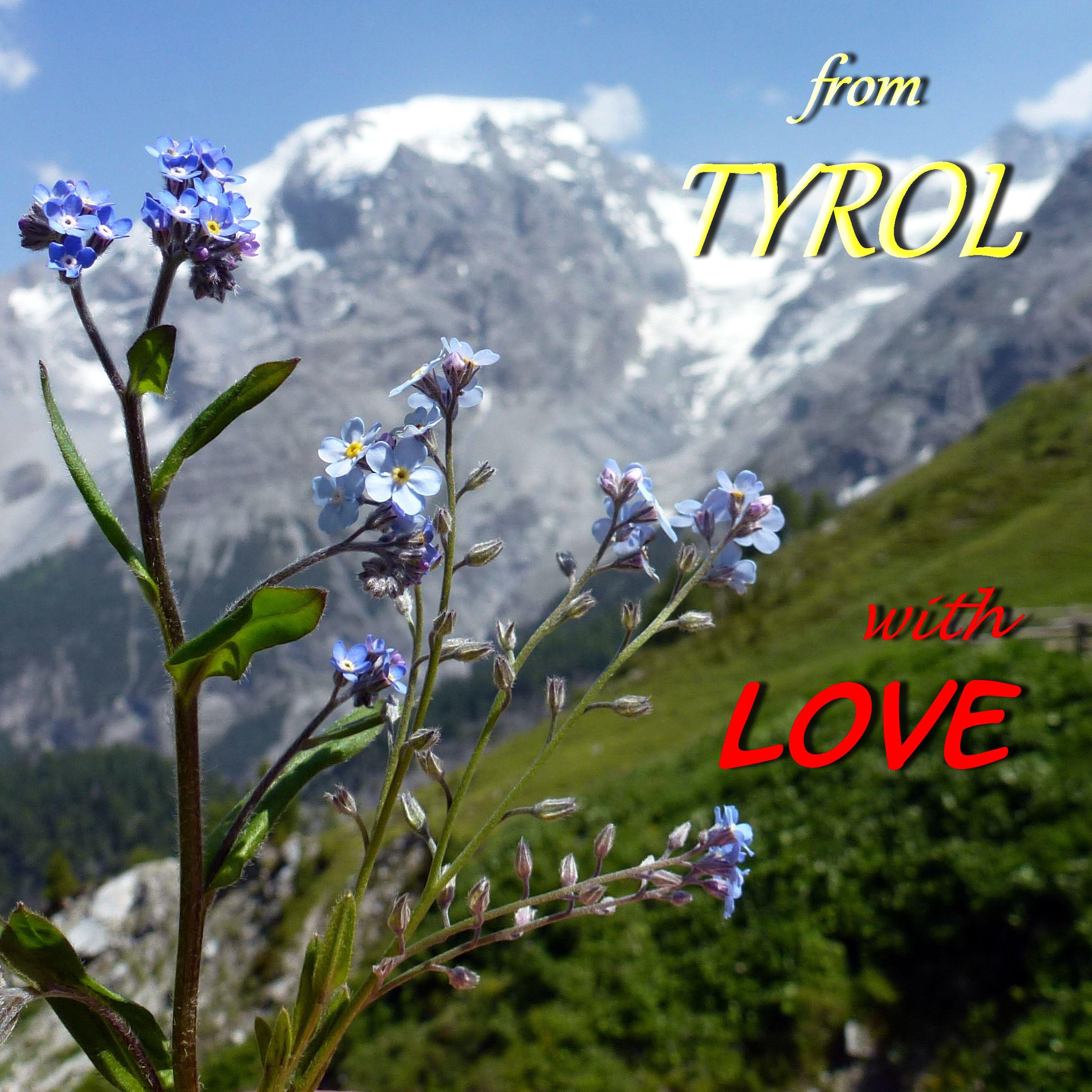 Es war ein Edelweiß_Musikkorps der 1. Gebirgsdivision Garmisch-Partenkirchen_From Tyrol - With Love | 在线播放_Es war ein Edelweiß歌词_Es war ein Edelweiß下载 | 网易云音乐