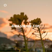 Dream of You