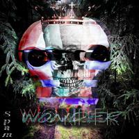 Wonder (feat. Toxic)