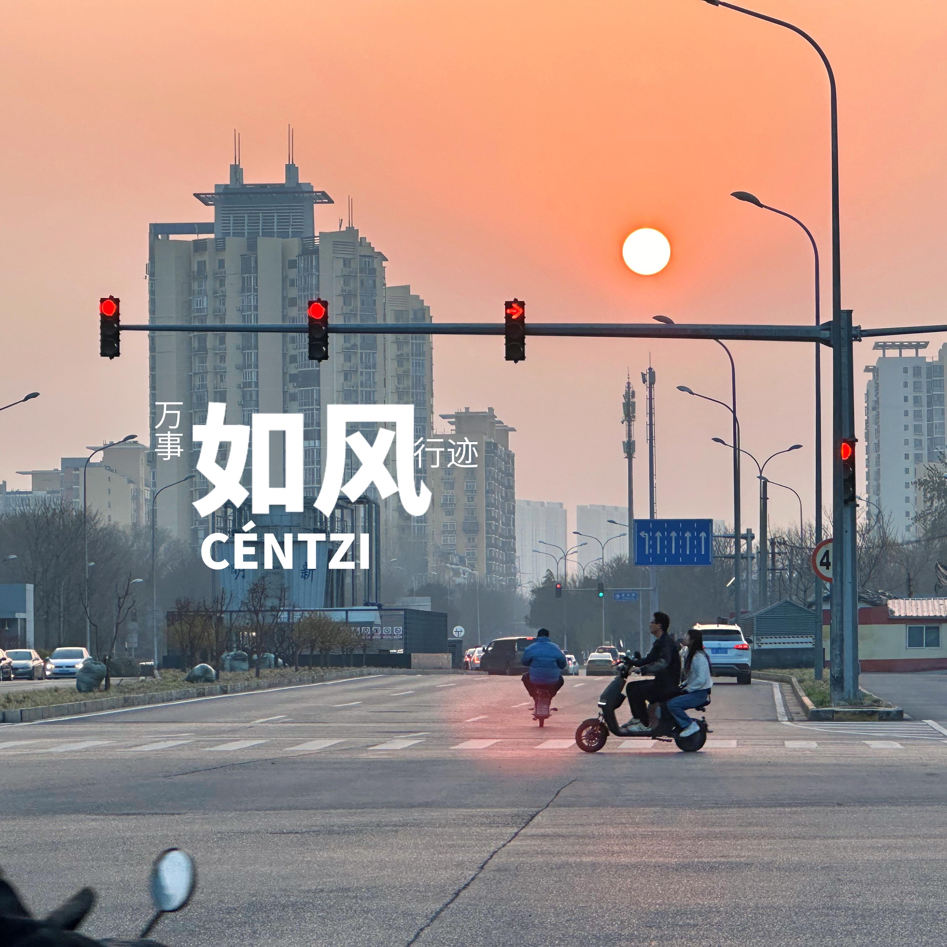 知洲封面