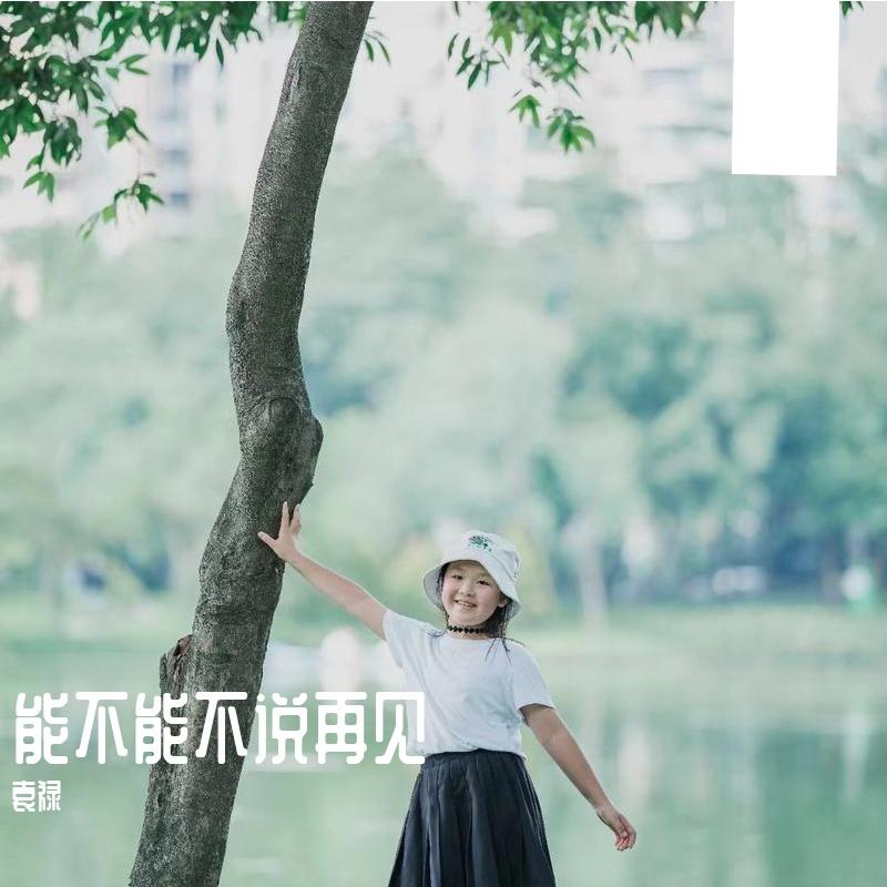 能不能不说再见 - 袁禄封面