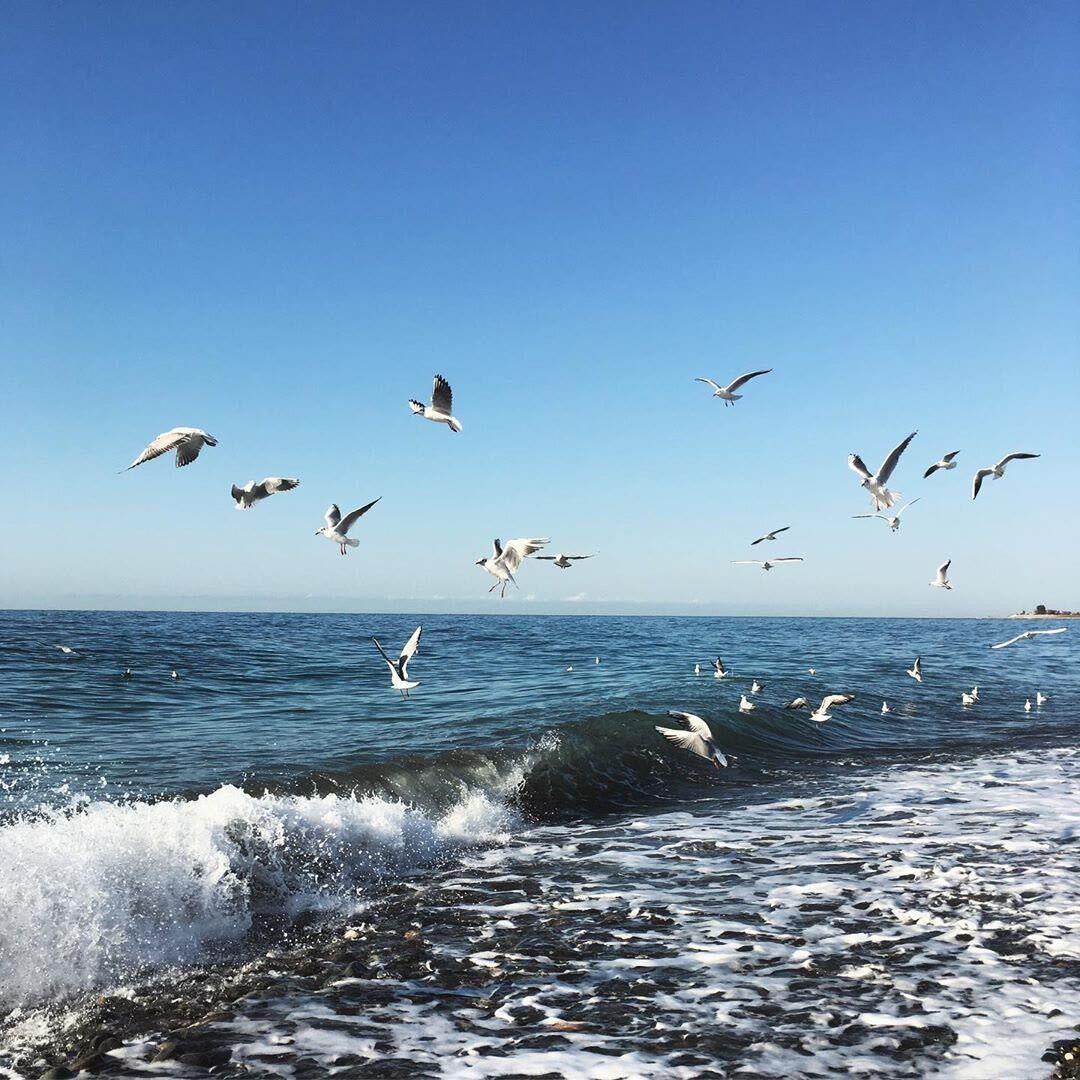 杨千嬅-野孩子（DJ）（明洋 remix）