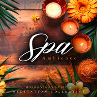 Spa Ambience