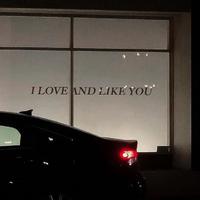 I Love And LIKE YOU