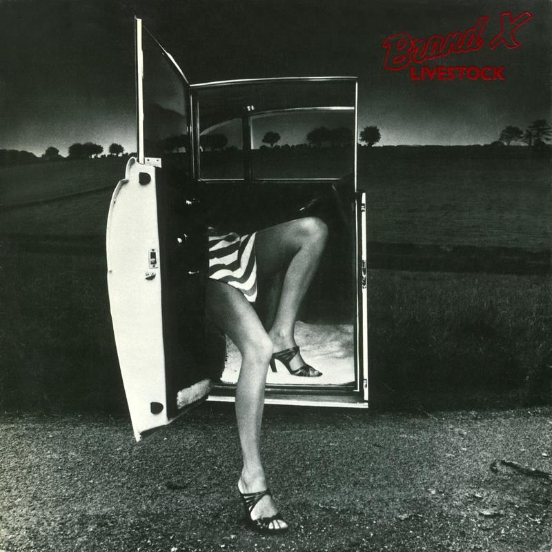 Euthanasia Waltz (Live) Brand X 单曲 网易云音乐