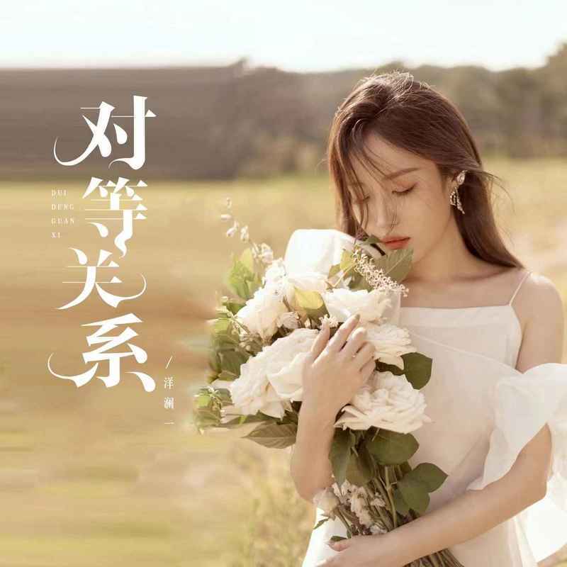 对等关系封面