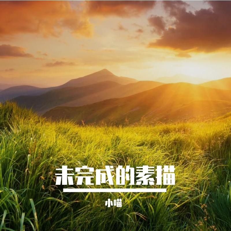 未完成的素描封面