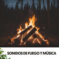 Sonidos de Fuego y Música: Danza bajo las estrellas