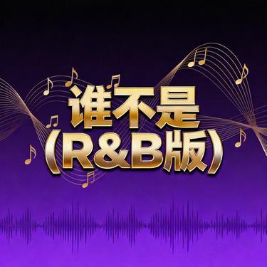谁不是 (R&B版)(风无念 Remix)封面