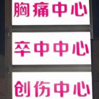 昼锦Artemis