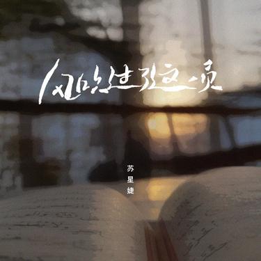 风吹过了这一页 - 苏星婕封面