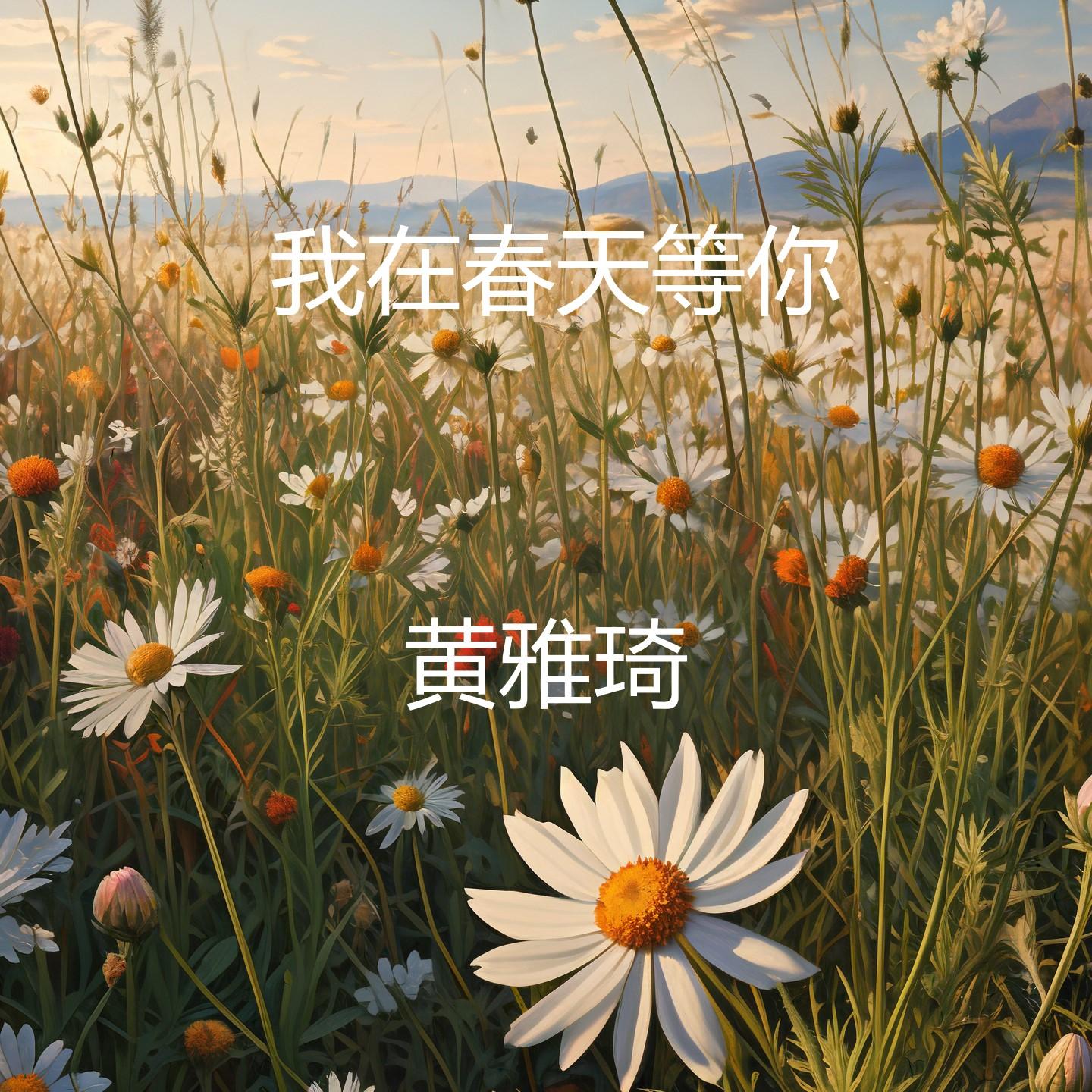 我在春天等你 思念随风化作雨封面