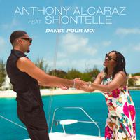 Danse Pour Moi (feat. Shontelle)