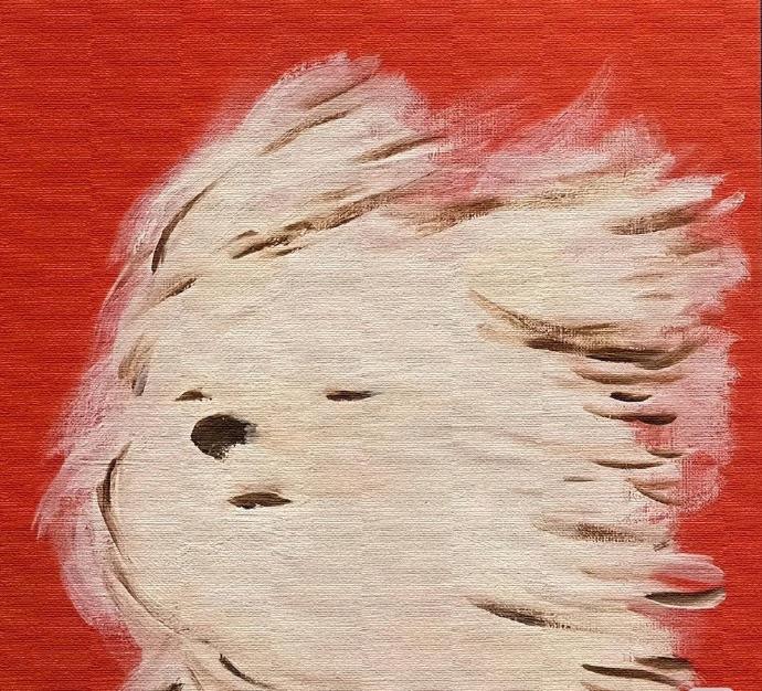 陪你到世界尽头