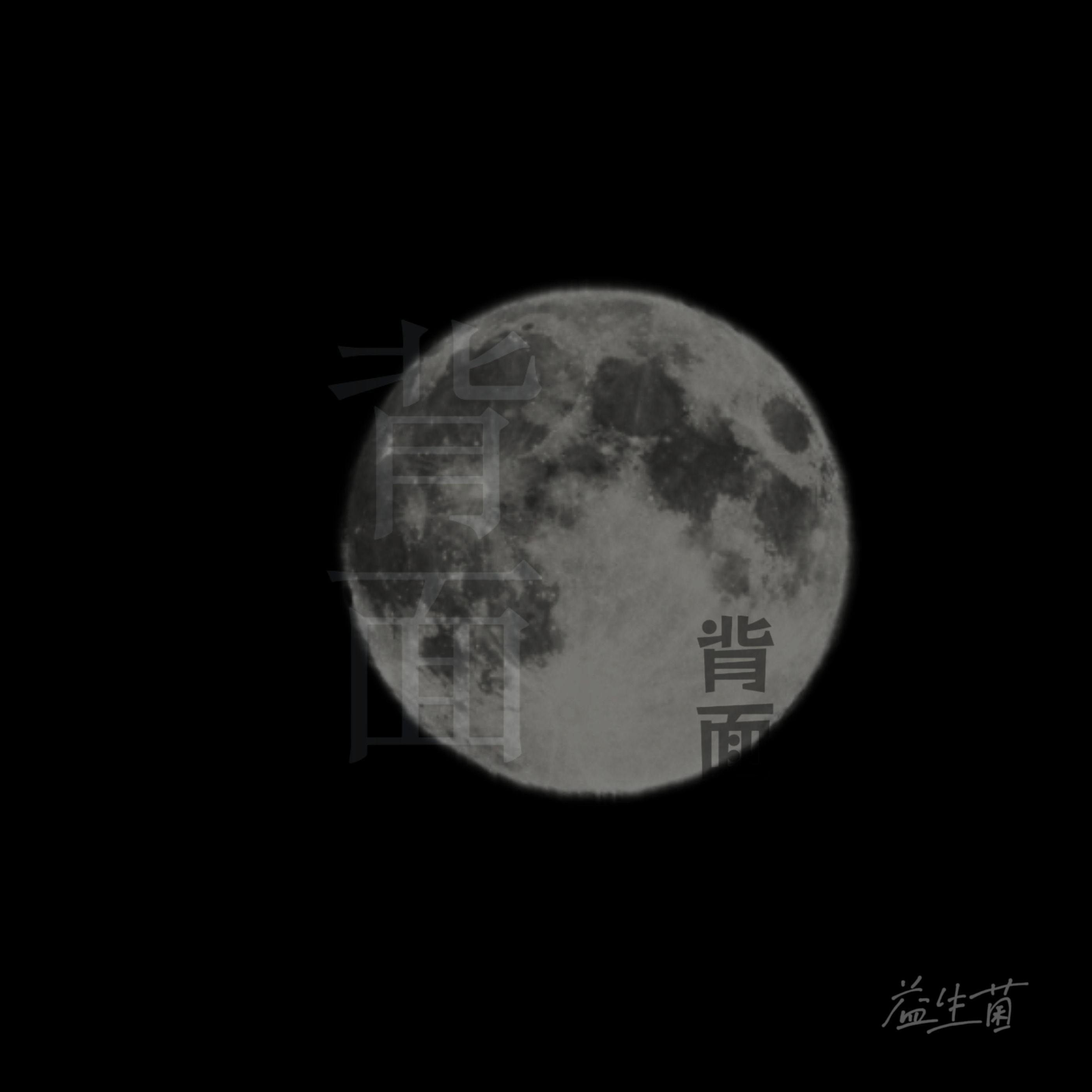 背面封面