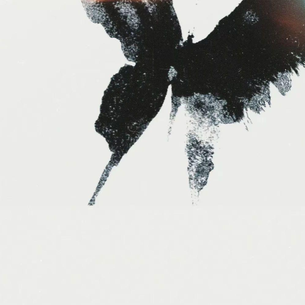 表森子 你咋不早说俺俩没以后 Prod.sleepyyer