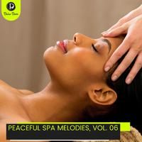 Peaceful Spa Melodies, Vol. 06