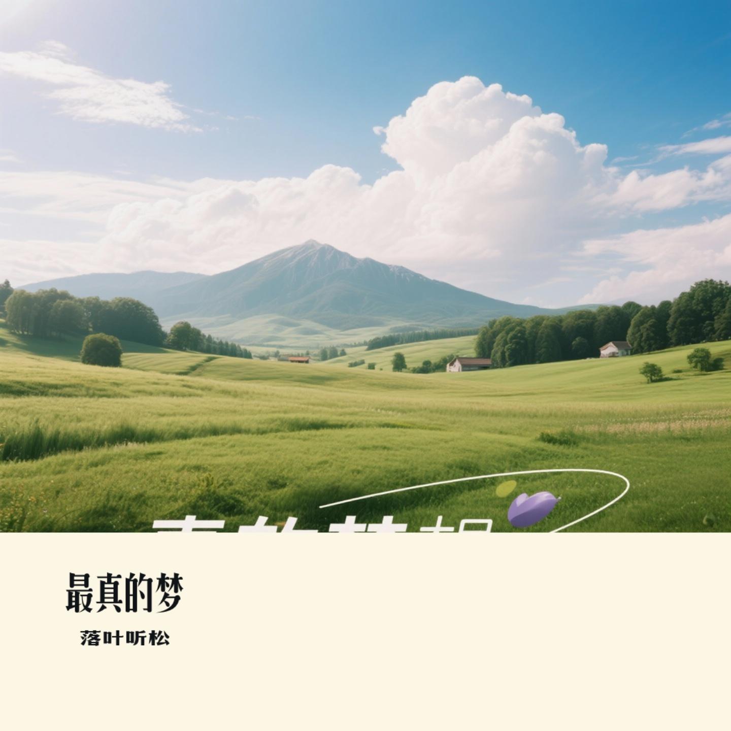 最真的梦（Cover 林栖 & 川音合唱团）封面