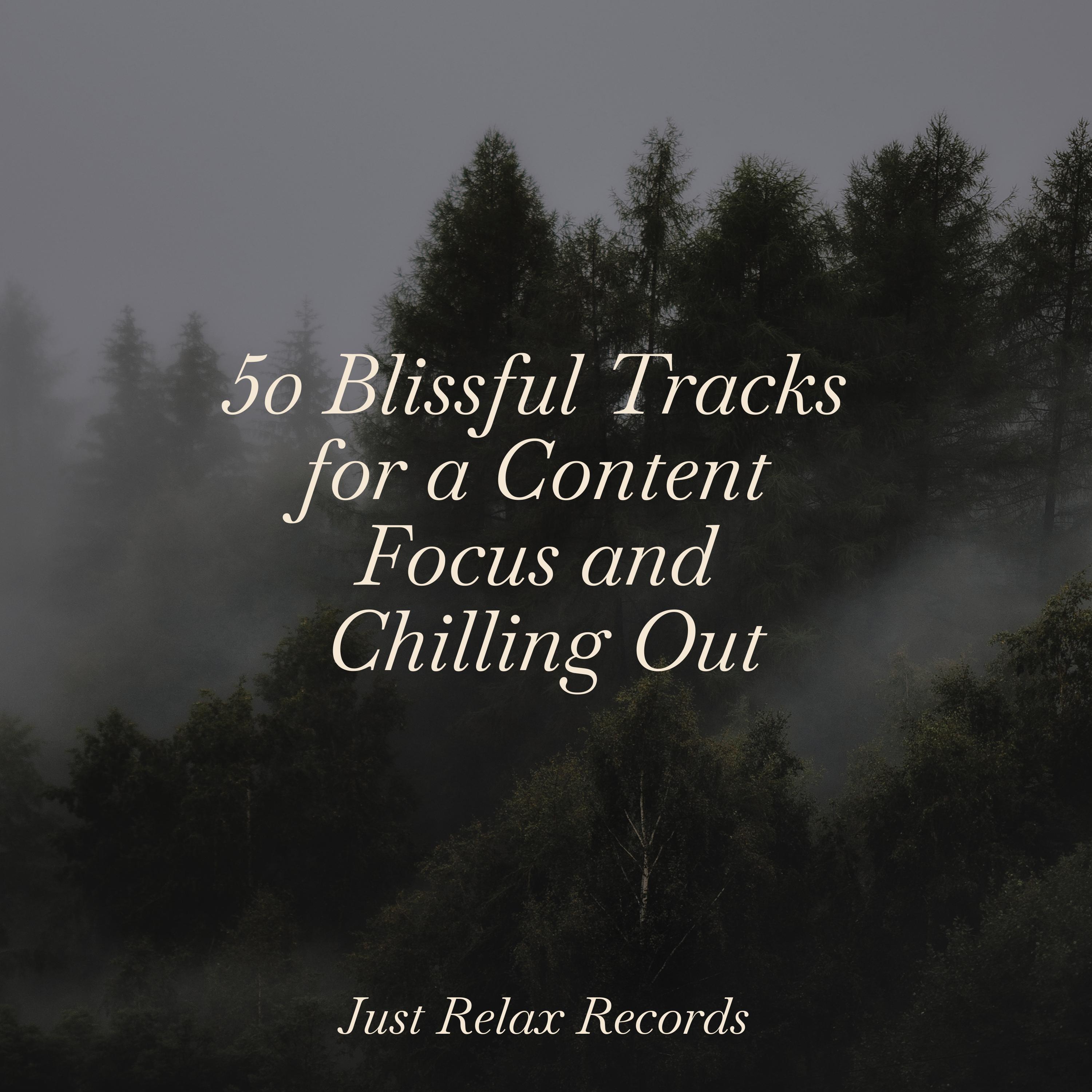 Sun kissed Rhythms Dance On Shakuhachi Sakano/Thunderstorm Sound Bank