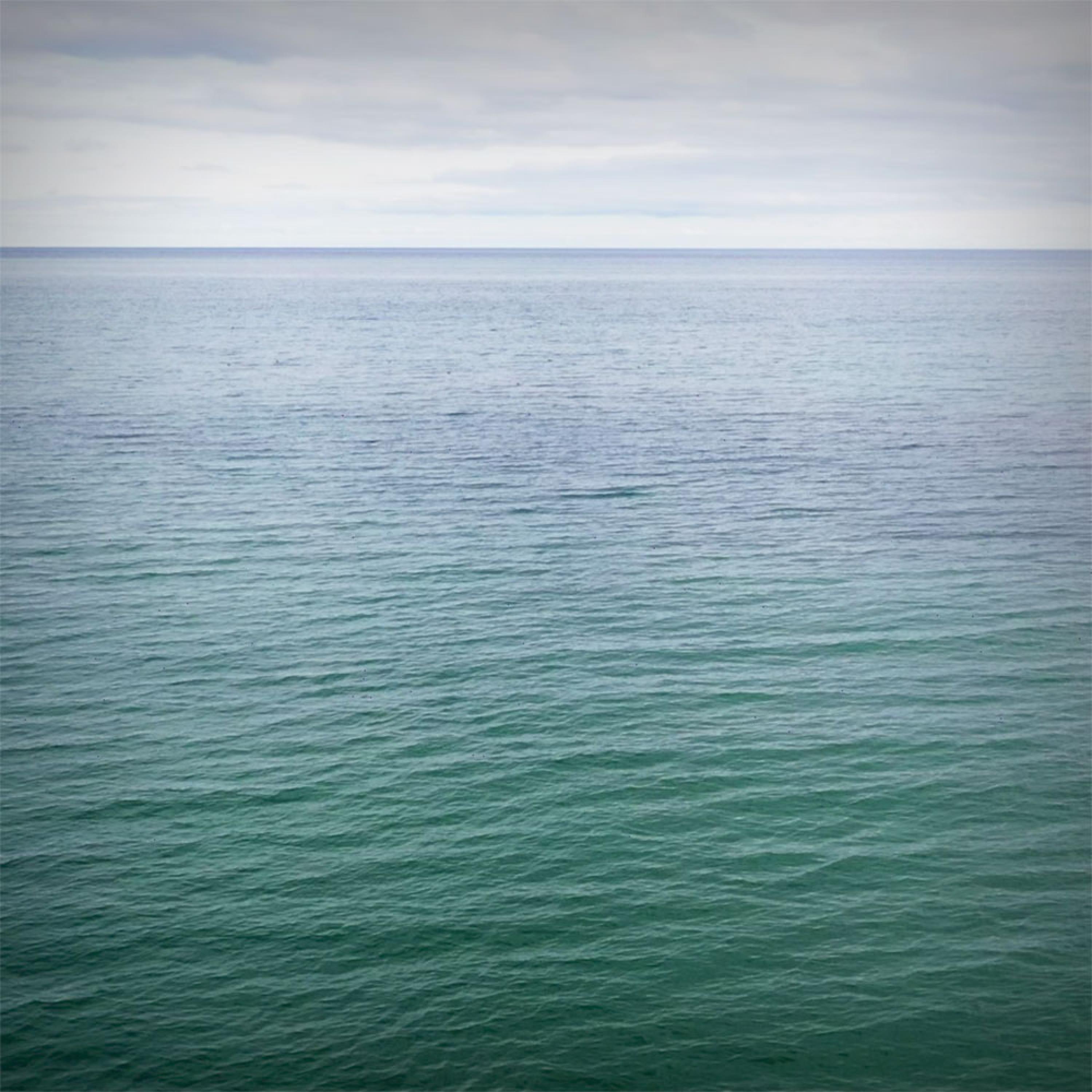 The Soft Underbelly Of Love