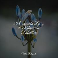 50 Colección Zen y de Relajación Definitiva