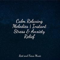 Calm Relaxing Melodies | Instant Stress & Anxiety Relief