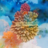 Sound of the Reef: Coral Enneagrams