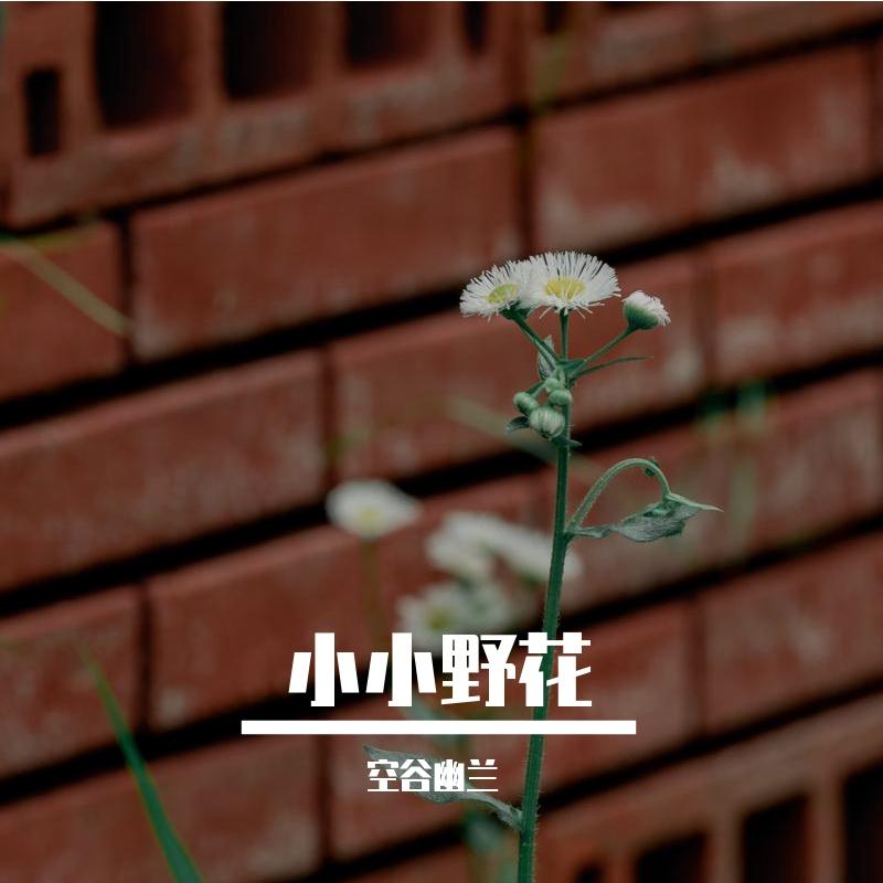 小小野花 伴奏封面