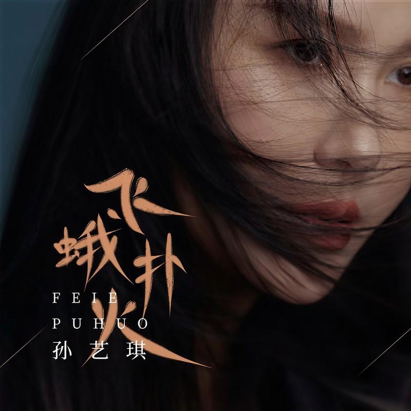 飞蛾扑火 (DJ九零版) - 孙艺琪封面