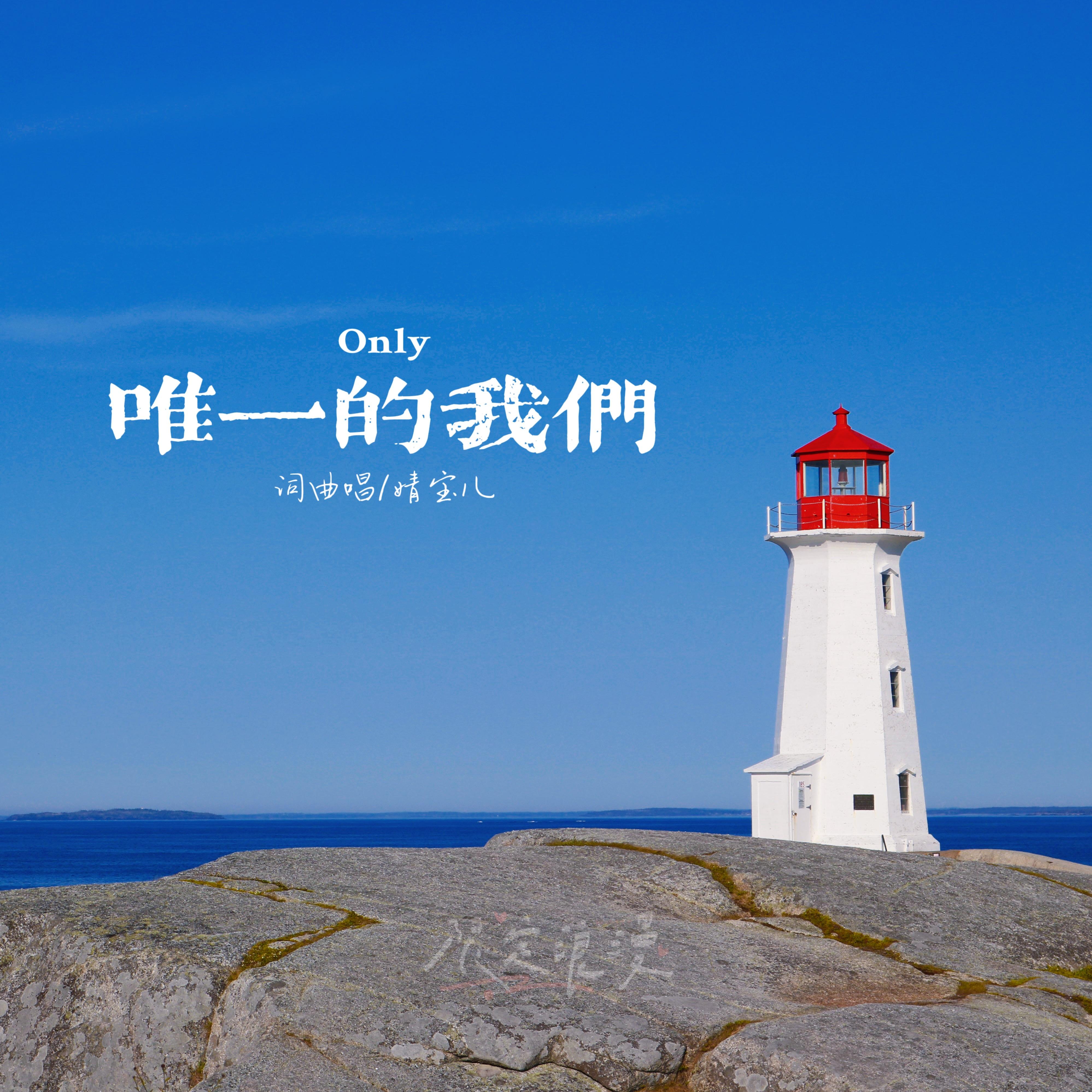 唯一的我们封面