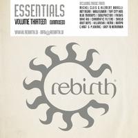 Rebirth Essentials Volume Thirteen