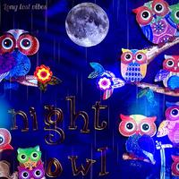 Night Owl