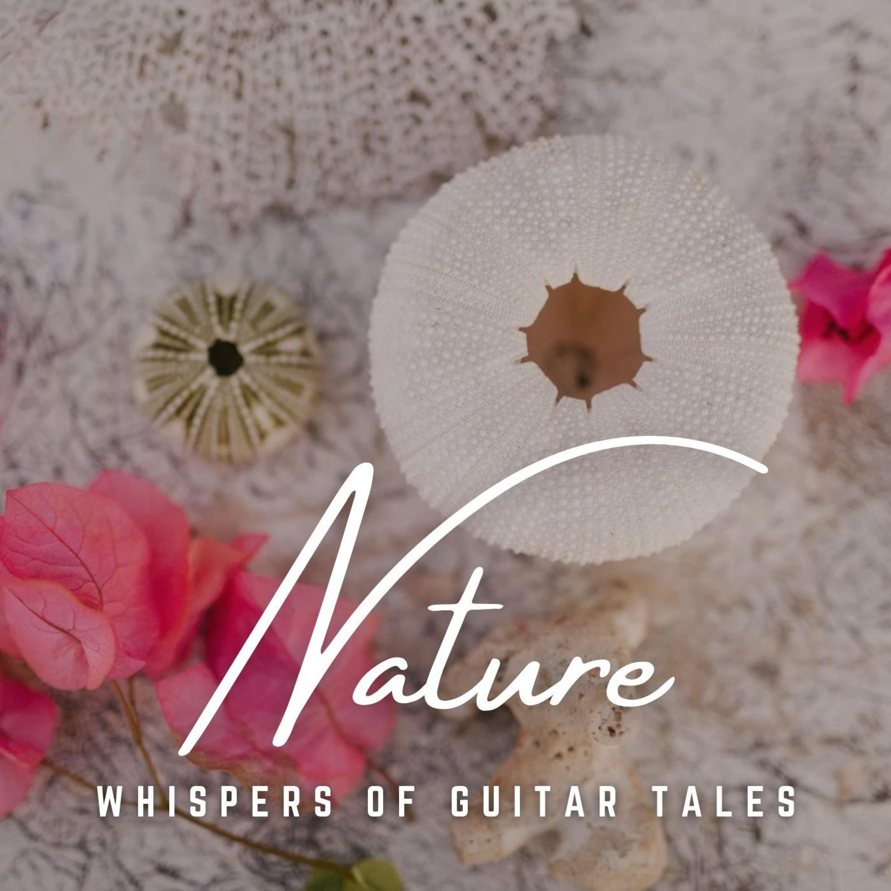 Sonic Guitar Adventures_Lights of Kharma_Guitar Tales: Acoustic Adventures | 在线播放_Sonic Guitar Adventures歌词_Sonic Guitar Adventures下载 | 网易云音乐