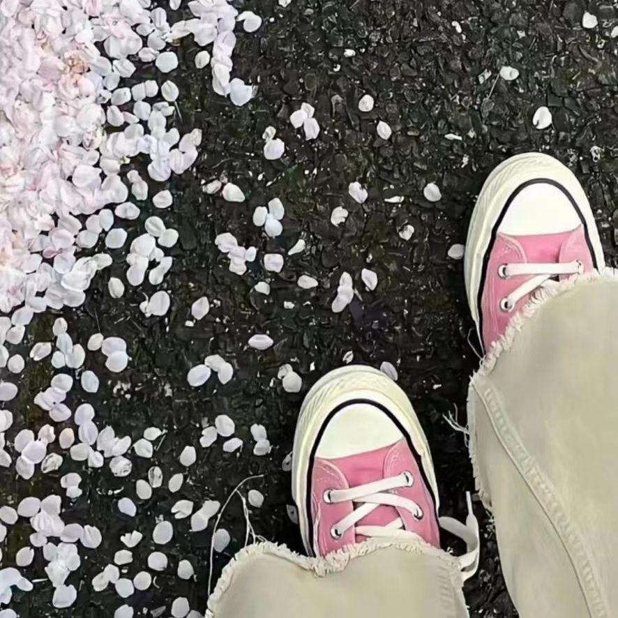 我曾遇到一束光封面