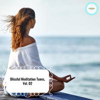 Blissful Meditation Tunes, Vol. 02