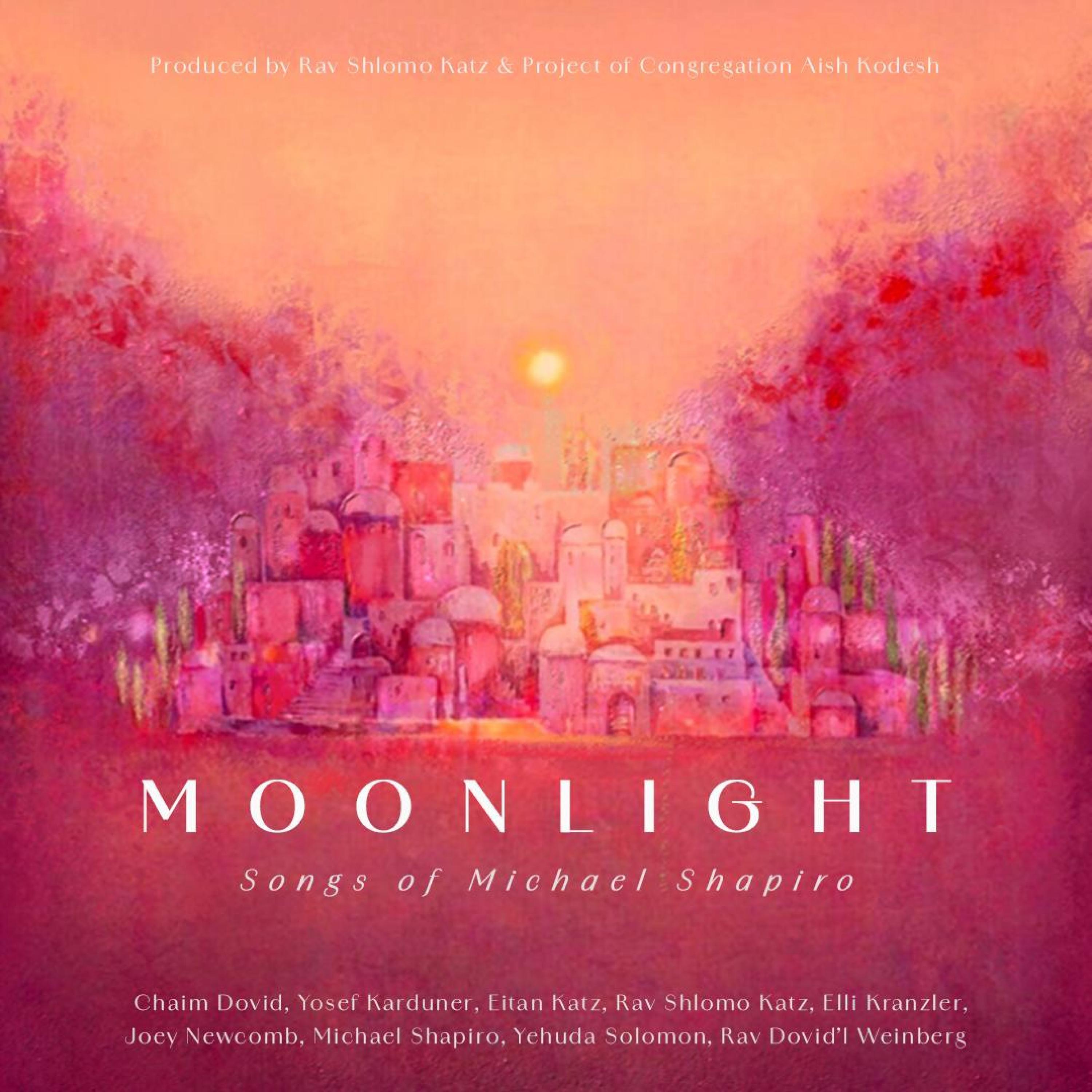 Moonlight (feat. Joey Newcomb)