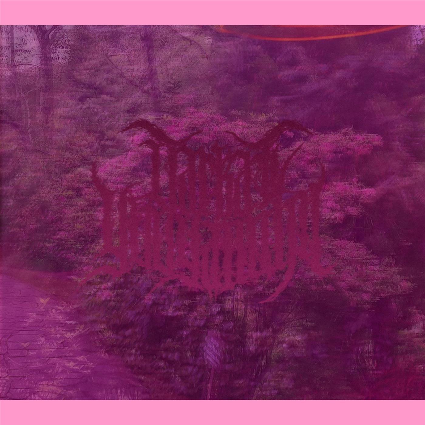 até minhas próprias lágrimas desbotam com o passar dos dias