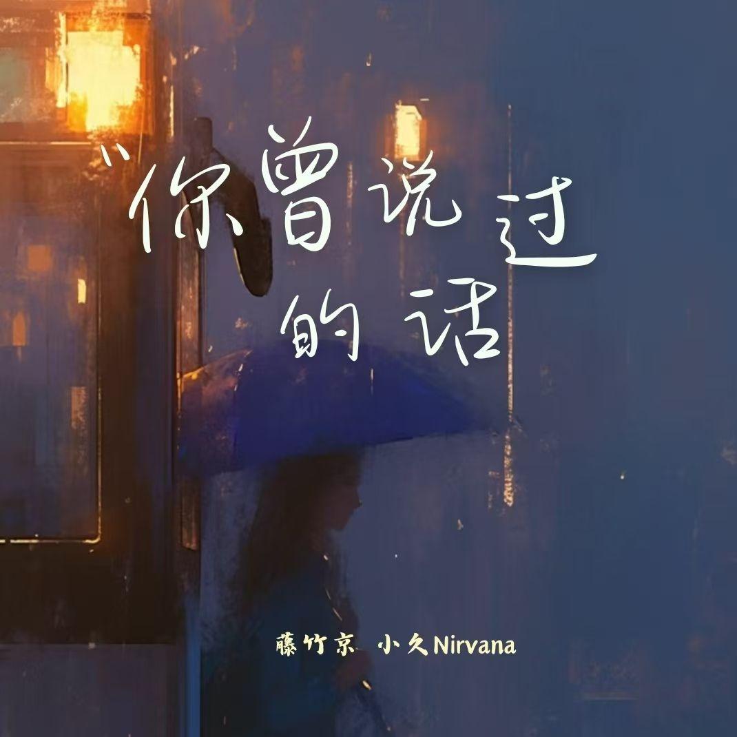 你曾说过的话封面