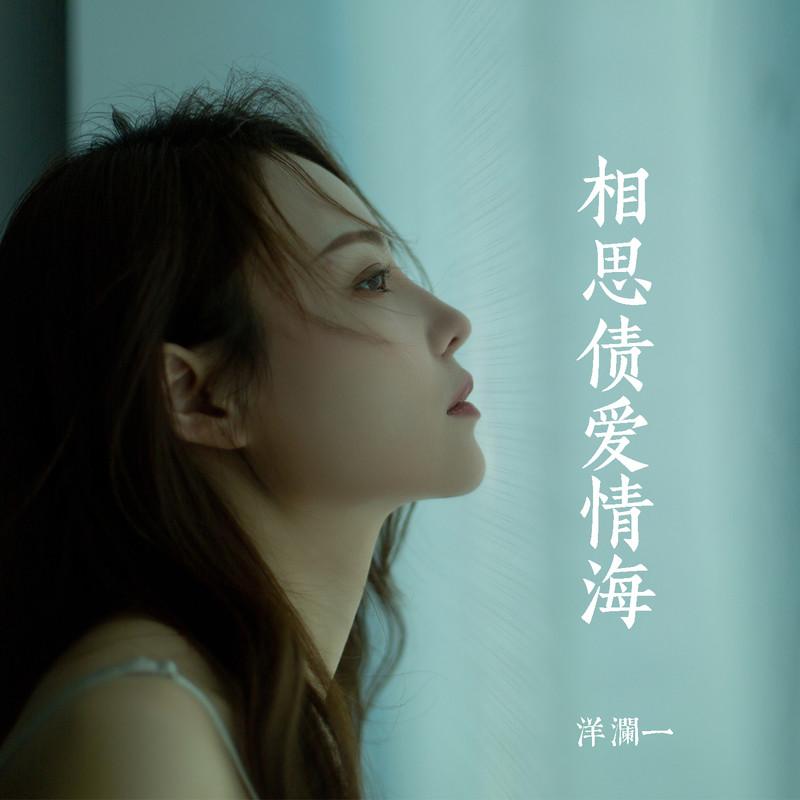相思债爱情海 (DJ版伴奏)封面