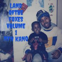 Land Of The Foxes
