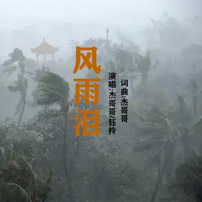 风雨泪 (伴奏)封面