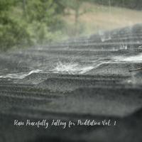 Rain Peacefully Falling for Meditation Vol. 1