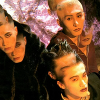 SOFT BALLET资料,SOFT BALLET最新歌曲,SOFT BALLETMV视频,SOFT BALLET音乐专辑,SOFT BALLET好听的歌