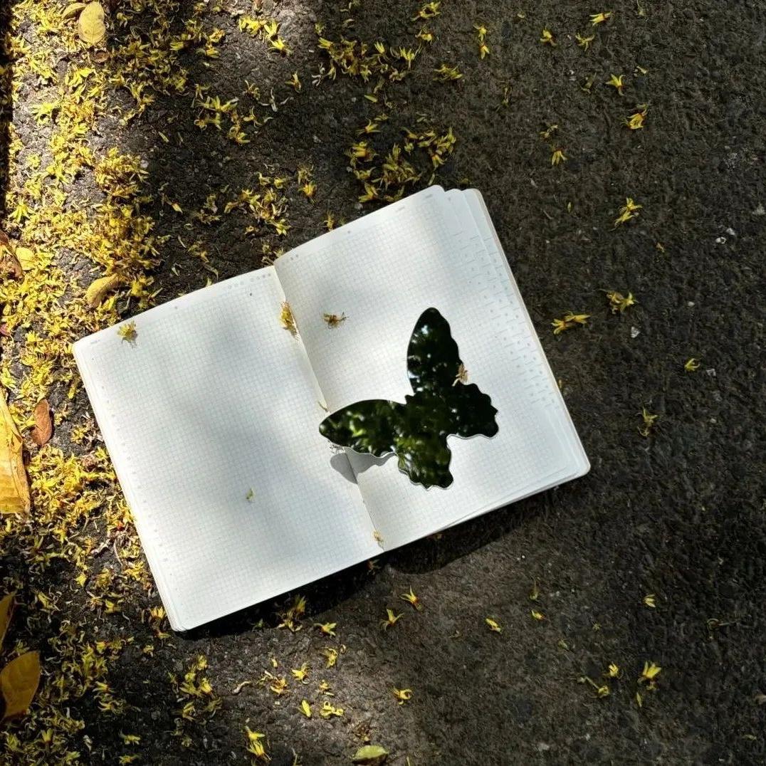 可可爱爱 (我已经是个成熟的人了)